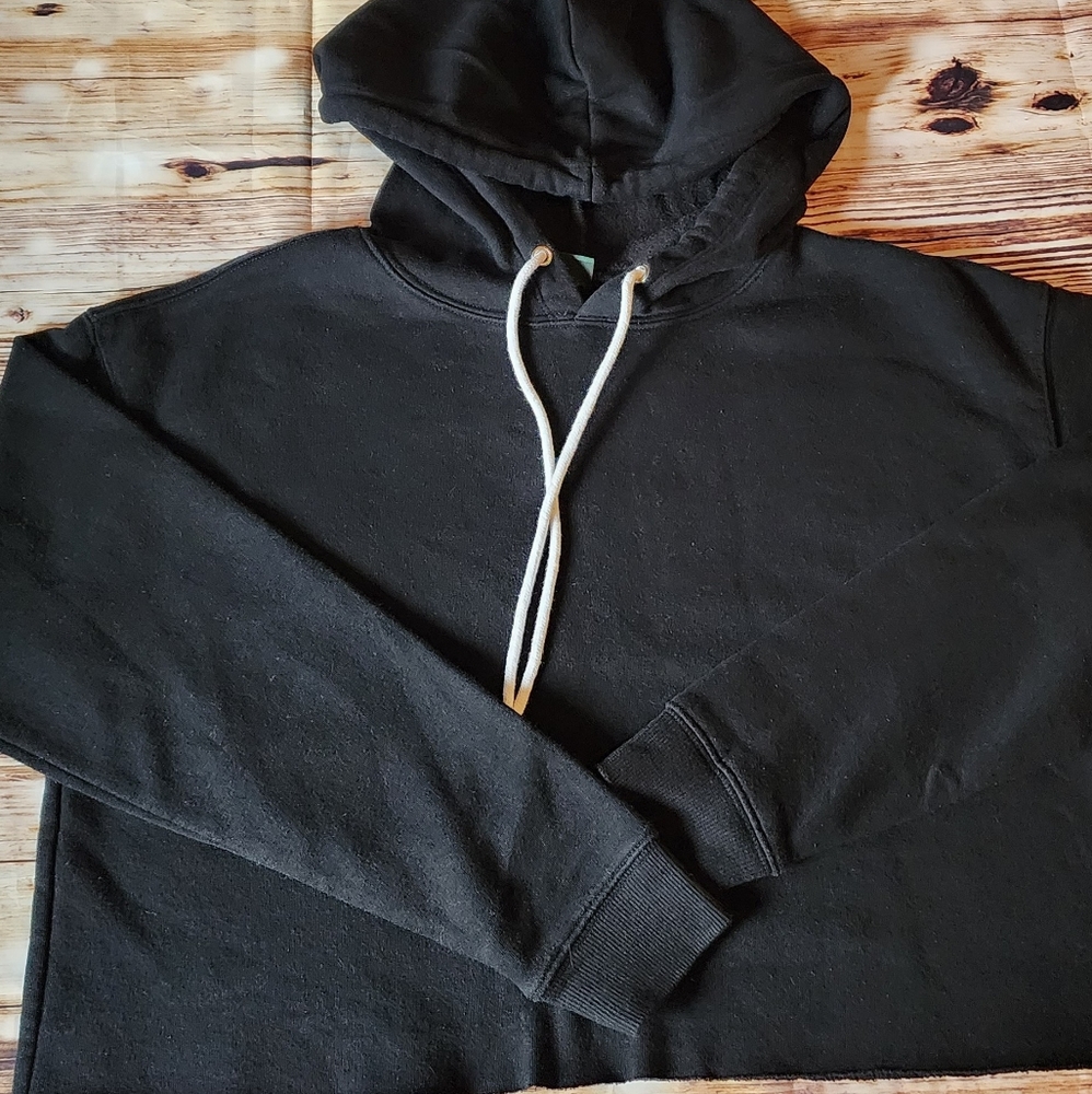Wild fable cropped hoodie